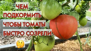 Подкормка томатов для созревания и сладкого вкуса