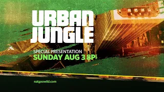 Nat Geo: Wild Urban Jungle