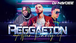 Rauw Alejandro, Sech, Anuel AA, Don Omar | Reggaeton Mix 2022 | After Party 4 by Dj Naydee