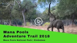 Highlights From The 2018 Mana Pools Adventure Trail