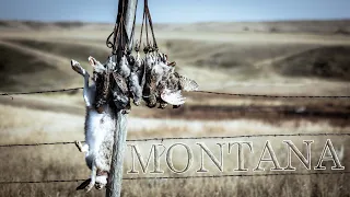 Montana 2023 Sharptails and Huns - Part 1 - Our First Day