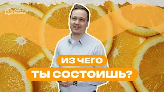 Что внутри тебя?! С чего ты состоишь? - Александр Павлунь