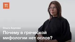 История сюжета романа «Метаморфозы, или Золотой осел» — Ольга Ахунова