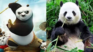 Kung Fu Panda 3 Characters In Real Life | All Characters 2017