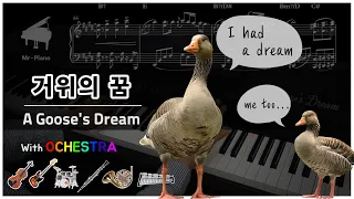 [K-Pop] A Goose's Dream 거위의 꿈 / 인순이 ver. _ Mr-Piano〔HQ〕