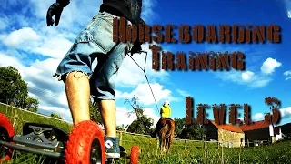 Horseboarding Training Level 3