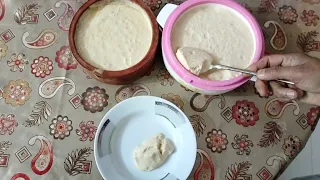 ঘরেপাতা মিষ্টি দই |||| Mishti Doi Dahi ||Perfect Sweetyogurt at home