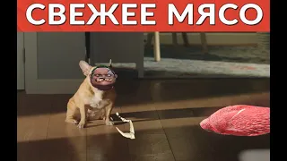 PUDGE озвучивает Яндекс станцию