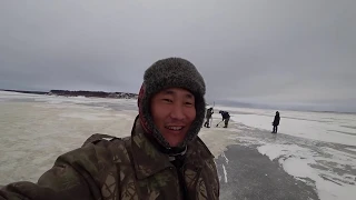 Третья проверка сеток после 2 суток! Якутия Yakutia