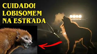 CUIDADO! LOBISOMENS NAS ESTRADAS - ESPECIAL CAMINHONEIROS