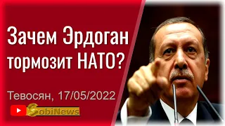 Почему Эрдоган тормозит расширение НAТO? Михаил Тевосян, беседа с Игорем Кочетовым на SobiNews. #52