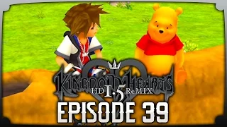 Let's Play Kingdom Hearts 1.5 HD Remix Final Mix Proud  Ep39 "Backtrack to Pooh Pooh"