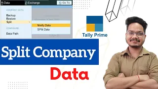 How to Split company data in tally prime