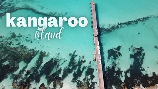 KANGAROO ISLAND | What To See & Do - Road Trip Australia Travel Vlog Ep. 2