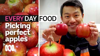 How to pick the perfect apple? | ABC Australia