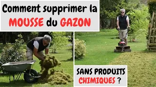 Comment ENLEVER la MOUSSE de sa PELOUSE son GAZON sans PRODUITS CHIMIQUES ?