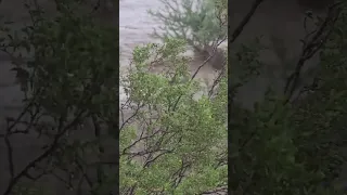 AZ Monsoon 8-14-22 Golden Valley, AZ