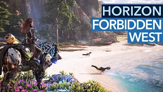 Horizon Forbidden West angespielt: Diese Open World ist eine Wucht