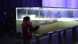 Science Storms - Tsunami Wave Tank