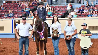 A Judge's Perspective: 2018 AQHYA Jumping World Champion