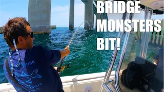 Fishing The Sky Way Bridge For Mangrove Snapper And Tarpon In Tampa Bay