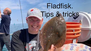 Fladfisk! Tips & Tricks.