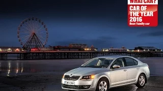 Skoda Octavia - 2016 What Car? Family Car of the Year | Sponsored