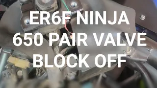 BACKFIRE NO MORE!! |ER6F ninja 650 | PAIR VALVE BLOCK OFF |