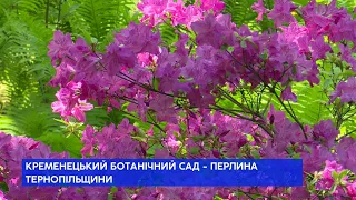 Дивовижна Тернопільщина: як виглядає один з найбільших ботанічних садів України