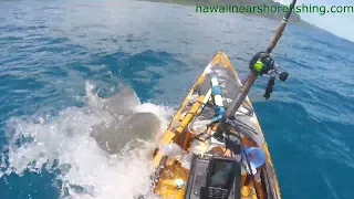 OFFICIAL VIDEO:  Tiger shark attacks kayak fisherman off Oahu