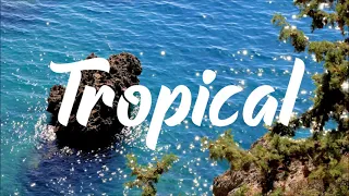 Tropical chill music mix 🌴 tropical house mix no copyright 🎵  tropical vlog music  🌴