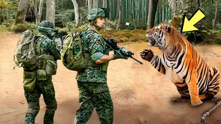 Солдаты помогли кричащему о помощи тигру. То, что произошло дальше, повергло их в шок!
