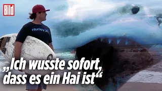 Hai macht Jagd auf Surfer in New York | Long Island