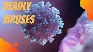 Duniya Ke Dus Sabse Khatarnak virus-2020 in Hindi - Top 10 Deadly virus in the world- Hindi Mein