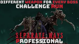 Beating Separate Ways DLC Using One Weapon Type Per Boss