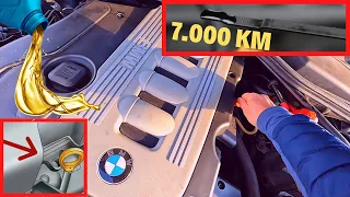 BMW E60 oil level after 7,000 km (How to check engine oil)