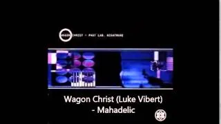 Wagon Christ (Luke Vibert) - Mahadelic