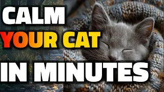 This Lullaby Will Put Your Cat to Sleep in 1 Minute