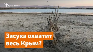 Засуха в Крыму. Дожди уже не спасут? | Доброе утро, Крым