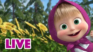 🔴 LIVE STREAM 🎬 Masha and the Bear 🐻🤣 The World Beyond 😲🌎