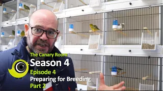 The Canary Room - Season 4 Episode 4 - Preparation for Breeding - Part 2