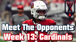 Taking a look at the Chicago Bears' Week 13 opponents: Arizona Cardinals (2021)