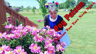 Pog Poison Ntxias Tau Tsev Neeg Npwb~02/09/2023~