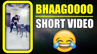 Bhago Brody Aaya 😂 Funny Dog #shorts