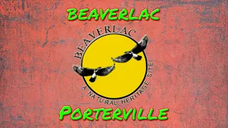 Beaverlac