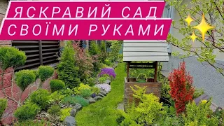 Прогулянка садом,похолодало,але рослини виглядають чудово🌟