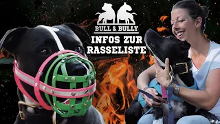 RASSELISTE: Sind „Kampfhunde“ gefährlich? Hundetrainerin Kathi klärt auf!