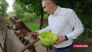 Оновлений Київський зоопарк: Що змінилось?