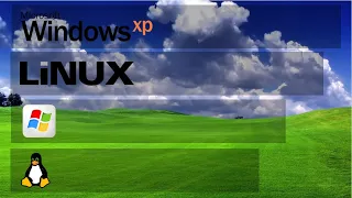 Linux Distros that look like Windows XP