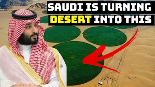 How Saudi is Turning Desert into Greenland